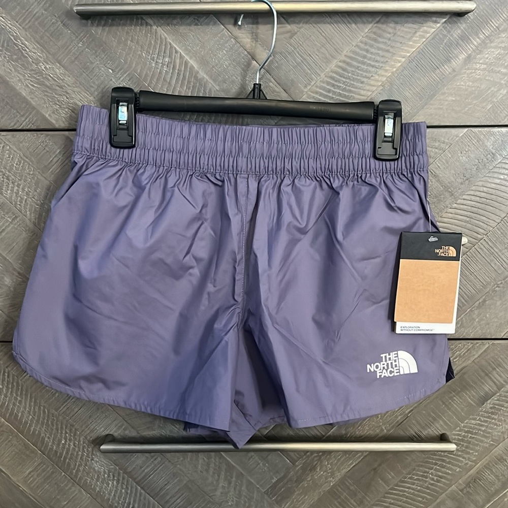 The north face shorts